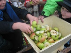 IMG_1443.JPG