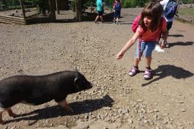 Tierpark Freisen04.jpg