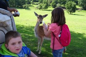 Tierpark Freisen07.jpg