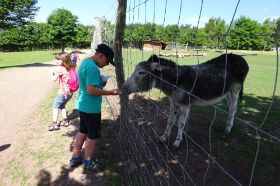 Tierpark Freisen10.jpg