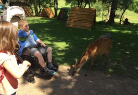 Tierpark Freisen14.jpg
