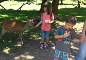 Tierpark Freisen15.jpg